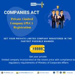 Private Limited Company ( PLC ) Registration