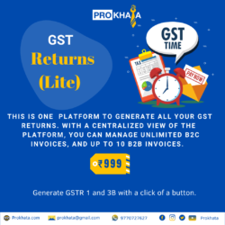 GST Returns (Lite)