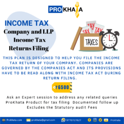 Company and LLP Income Tax Returns Filing INCOME TAX