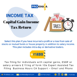 CAPITAL GAIN INCOME TAX RETURN