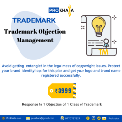 Trademark Objection Management