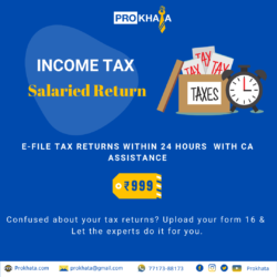 Salary Income Tax Return