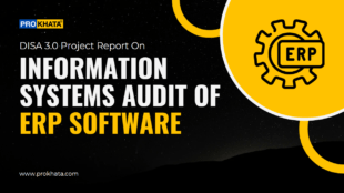 Information System Audit of ERP Software