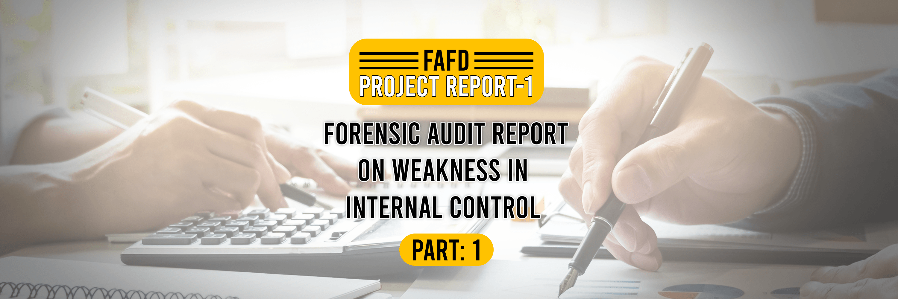 Forensic Audit Report on Weakness in Internal Control FAFD Project 1