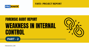 Forensic Audit Report on Weakness in Internal Control