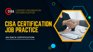 CISA Certification Job Practice